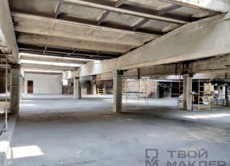 Сдаю производство, 300 м2, Пензенская область, улица Рябова, 31Г