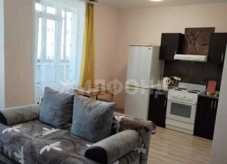 Сдается квартира студия, 31 м2, Новосибирская область, улица Петухова, 162