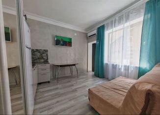 Сдаю в аренду однокомнатную квартиру, 42 м2, Сириус, улица Тюльпанов, 4Б