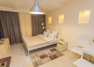 Сдам квартиру студию, 21 м2, Санкт-Петербург, Боровая улица, 110