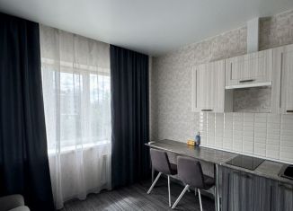 Сдача в аренду 1-комнатной квартиры, 25 м2, Биробиджан, Широкая улица, 18, микрорайон А