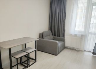 Сдается в аренду 1-комнатная квартира, 35.1 м2, Екатеринбург, метро Ботаническая, улица Новостроя, 7