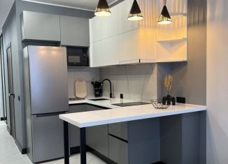 Аренда квартиры студии, 30 м2, Тверь, улица Левитана, 48к3