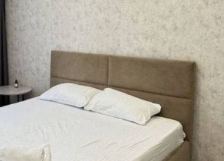 Сдаю однокомнатную квартиру, 42.9 м2, Новосибирск, улица Лескова, 25, метро Золотая Нива