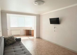 Однокомнатная квартира в аренду, 52 м2, Татарстан, проспект Химиков, 1