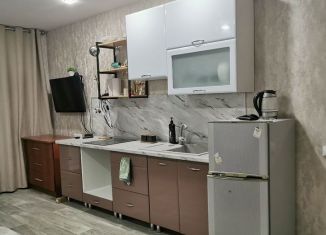 Сдается 1-комнатная квартира, 46 м2, Кемеровская область, улица Шорникова, 1