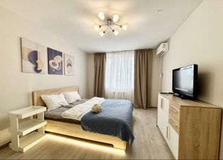 Аренда квартиры студии, 42.3 м2, Екатеринбург, Трамвайный переулок, 2к1