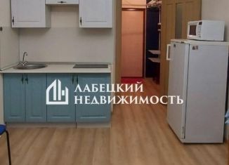 Продажа квартиры студии, 20.7 м2, Кудрово, Столичная улица, 11к2, ЖК Вернисаж