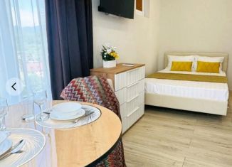 Продается квартира студия, 21 м2, Сочи, Львовская улица