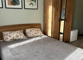 Аренда квартиры студии, 26 м2, Санкт-Петербург, Днепропетровская улица, 59