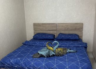 Аренда двухкомнатной квартиры, 50 м2, Удмуртия, улица Ленина, 64