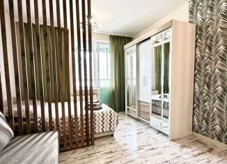 Сдается квартира студия, 25 м2, Мурино, проспект Авиаторов Балтики, 9к3, ЖК Виктория