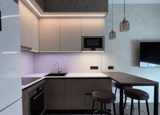 Сдается 1-комнатная квартира, 45 м2, Москва, Шелепихинская набережная, 42к3