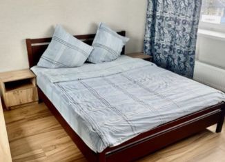 Сдается в аренду 1-комнатная квартира, 27 м2, Королёв, Октябрьский бульвар, 26