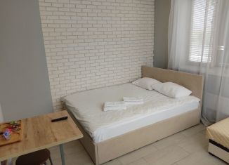 Аренда 1-комнатной квартиры, 24 м2, Королёв, Октябрьский бульвар, 26