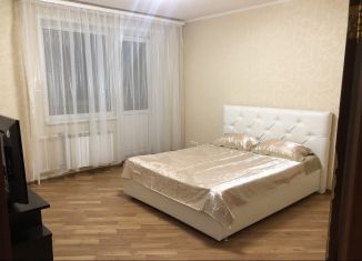 Сдача в аренду 1-комнатной квартиры, 50 м2, Самара, улица Мориса Тореза, метро Спортивная