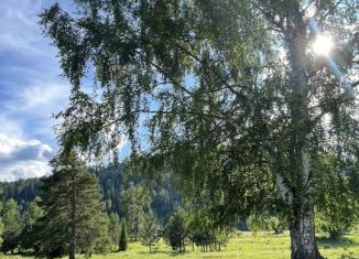 Продается земельный участок, 20 сот., село Усть-Пыжа, Центральная улица, 14