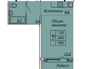 Продам квартиру студию, 26.2 м2, посёлок Тельмана, Парковая улица, 6к1