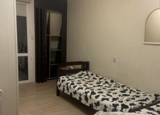 Продаю квартиру студию, 20 м2, посёлок городского типа Сириус, Перепелиный переулок, 1