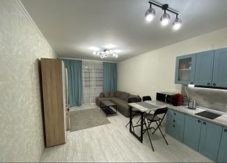 Квартира на продажу студия, 27.3 м2, Мурино, улица Шувалова, 44, ЖК Цвета радуги