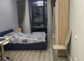 Сдача в аренду квартиры студии, 25 м2, Сочи, Депутатская улица, 10Б/1, ЖК Метрополь