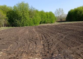 Продаю дом, 31.6 м2, село Крестовоздвиженка, Пионерская улица, 7