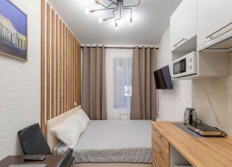 Сдается квартира студия, 20 м2, Санкт-Петербург, улица Марата, 22-24