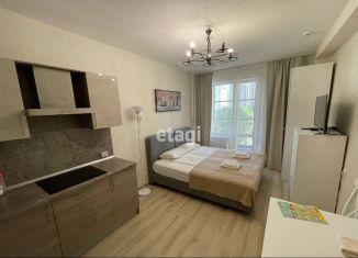 Продажа квартиры студии, 24.8 м2, Санкт-Петербург, метро Московская, Пулковское шоссе, 14Е