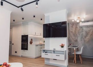 Сдается в аренду двухкомнатная квартира, 45 м2, Сочи, Виноградная улица, 27А