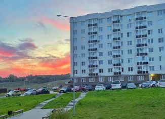 Продаю 2-комнатную квартиру, 51 м2, сельский посёлок Новинки, ЖК Новинки Смарт Сити, 2-я Дорожная улица, 3