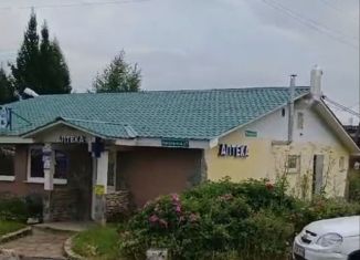 Продаю торговую площадь, 160 м2, Сысерть, микрорайон Новый, 17