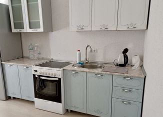 Аренда 1-ком. квартиры, 33 м2, поселок городского типа Стройкерамика, улица Анетты Басс, 4с1