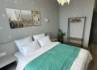 Аренда квартиры студии, 43 м2, Судак, Набережная улица, 75к2