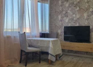 Сдается в аренду квартира студия, 30 м2, Дмитров, Шлюзовая улица, 8к2