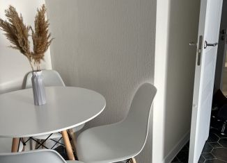 Сдается в аренду 1-ком. квартира, 36 м2, Мурино, проспект Авиаторов Балтики, 25, ЖК Авиатор