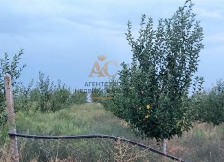 Продажа участка, 50 сот., село Золотое Поле, улица Мичурина