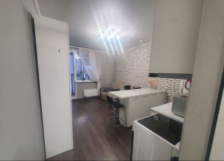 Квартира в аренду студия, 24 м2, Нижний Новгород, Южный бульвар, 18