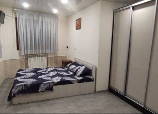 Сдам 1-ком. квартиру, 30 м2, Сочи, Политехническая улица, 22Б, микрорайон Новый Сочи