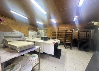 Помещение свободного назначения на продажу, 65 м2, село Татарка, улица Ленина, 130