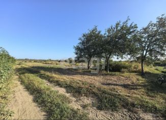 Продаю земельный участок, 5 сот., деревня Добрунь, Центральная площадь