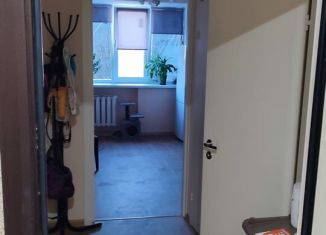 Однокомнатная квартира в аренду, 33 м2, Раменское, улица Зои Космодемьянской, 10