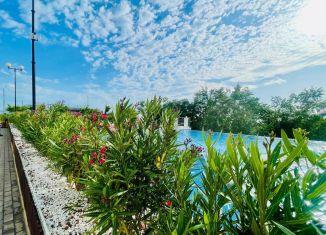 Продам 1-комнатную квартиру, 40 м2, Сочи, улица Яна Фабрициуса, 2/23М, микрорайон Яна Фабрициуса