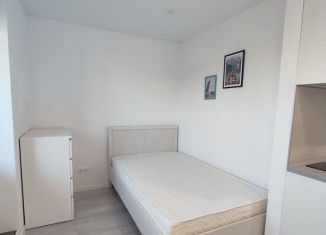 Сдается квартира студия, 22 м2, посёлок Парголово, Заречная улица, 42к2, ЖК Северная Долина