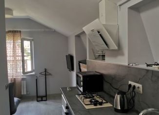 Сдаю в аренду 1-комнатную квартиру, 23 м2, Сочи, улица Лысая Гора, 27/27А, микрорайон Светлана