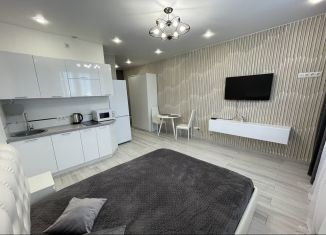 Продам квартиру студию, 26.1 м2, Котельники, микрорайон Новые Котельники, 8