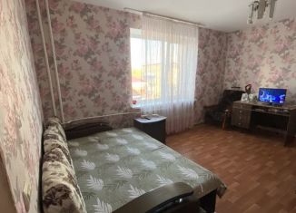 Сдается в аренду 1-комнатная квартира, 30 м2, Лениногорск, улица Садриева, 1