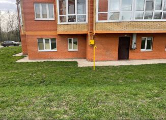 Продаю помещение свободного назначения, 132.4 м2, деревня Чергаши, Пригородная улица, 30