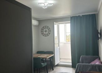 Однокомнатная квартира в аренду, 47 м2, Ростов-на-Дону, Творческая улица, 9, ЖК Звёздный