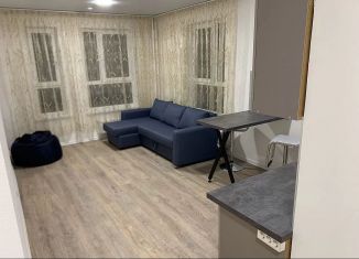 Квартира в аренду студия, 27 м2, Люберцы, улица Камова, 3к2, ЖК Люберцы 2020