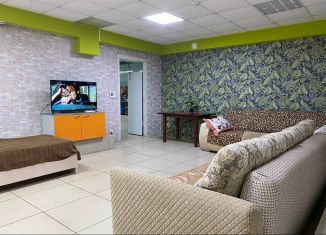 Сдается в аренду таунхаус, 130 м2, Саратовская область, Пионерская улица, 1А